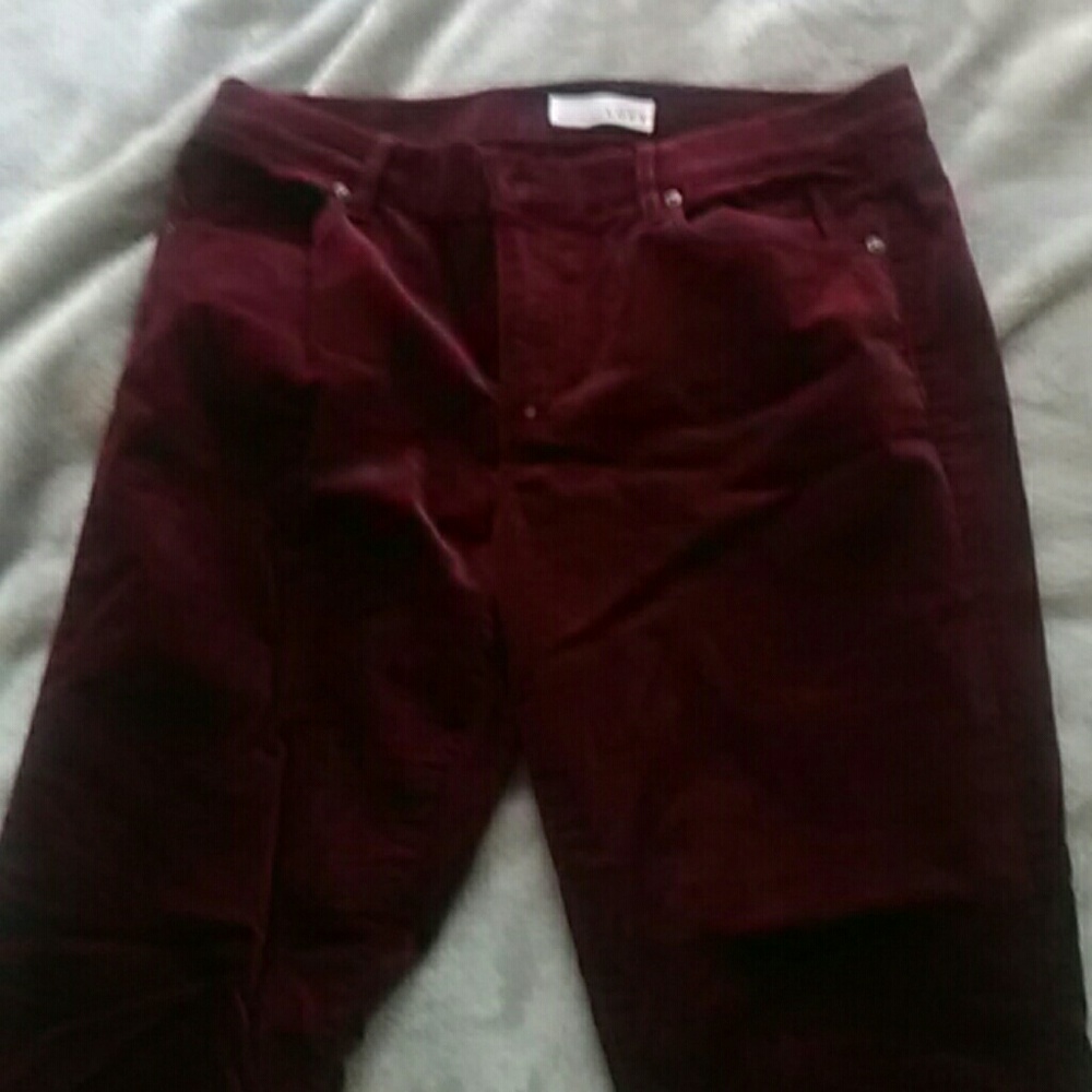 Tapered velvet pants WORN ONCE